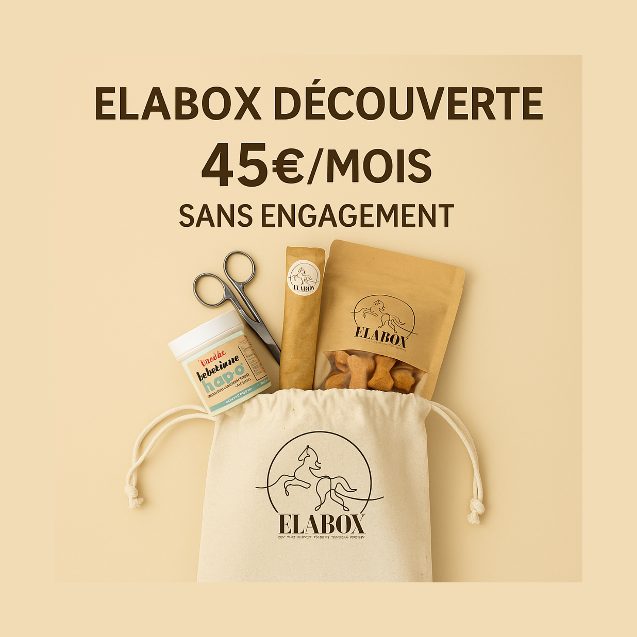 ELABOX DÉCOUVERTE 💡