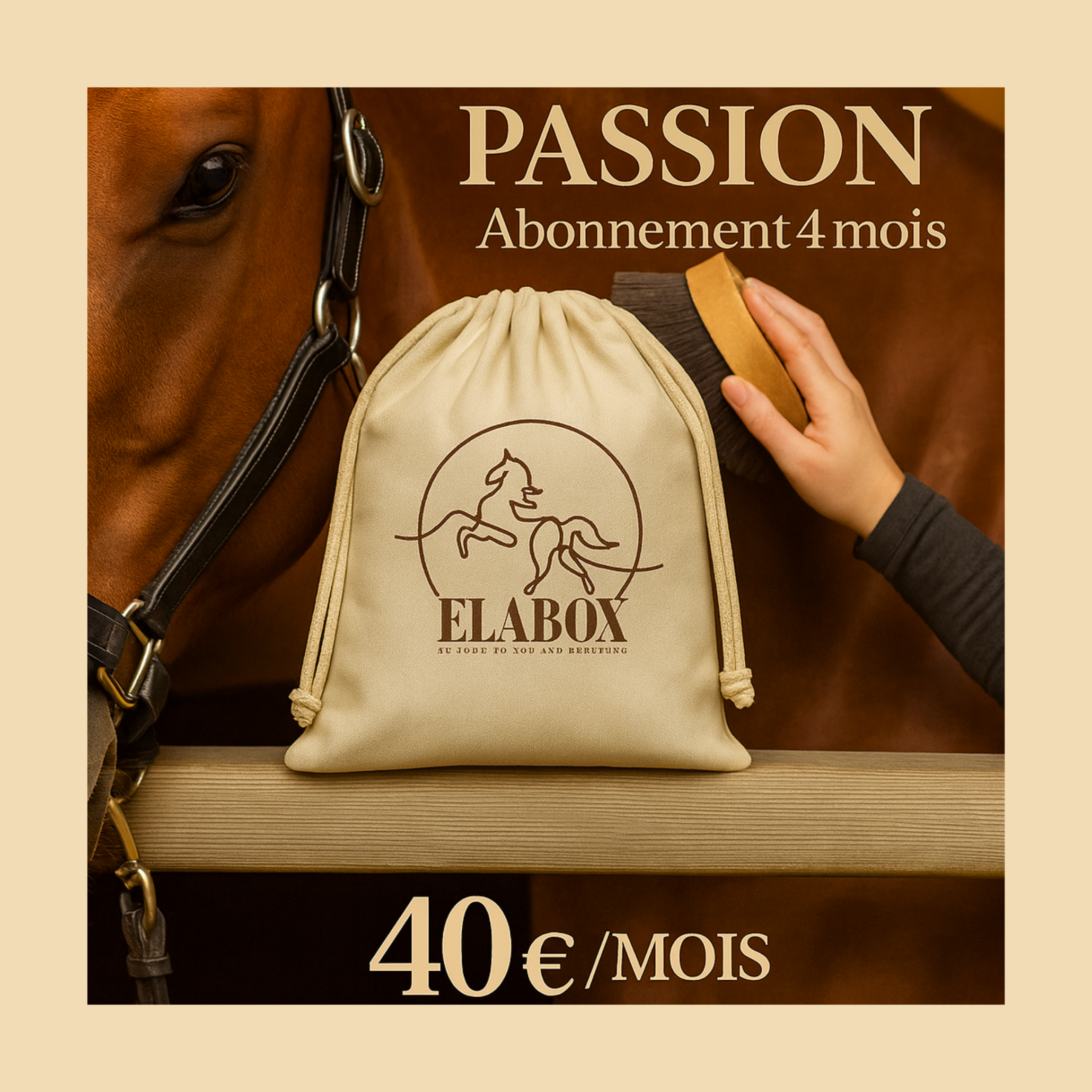 ELABOX PASSION ❤️ - Abonnement 4 mois