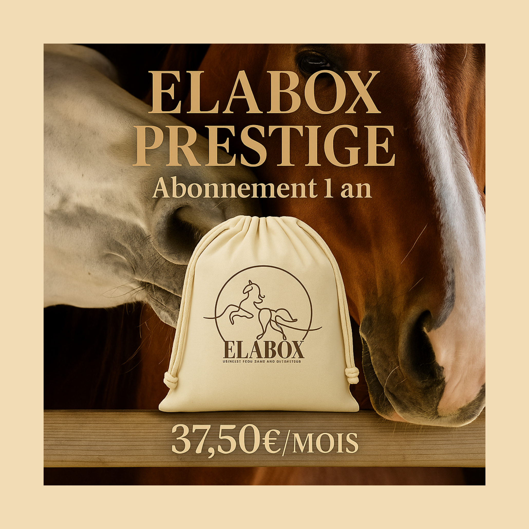 ELABOX PRESTIGE ⭐️ - Abonnement 1 an