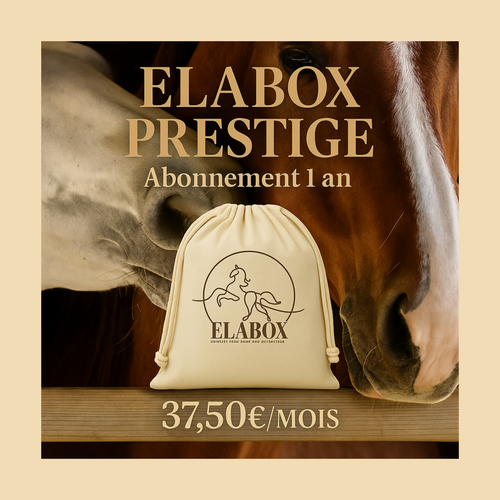 ELABOX PRESTIGE ⭐️ - Abonnement 1 an