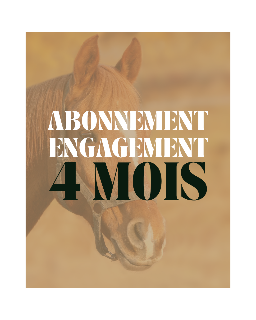 ELABOX abonnement 4 mois (idéal pour offrir)