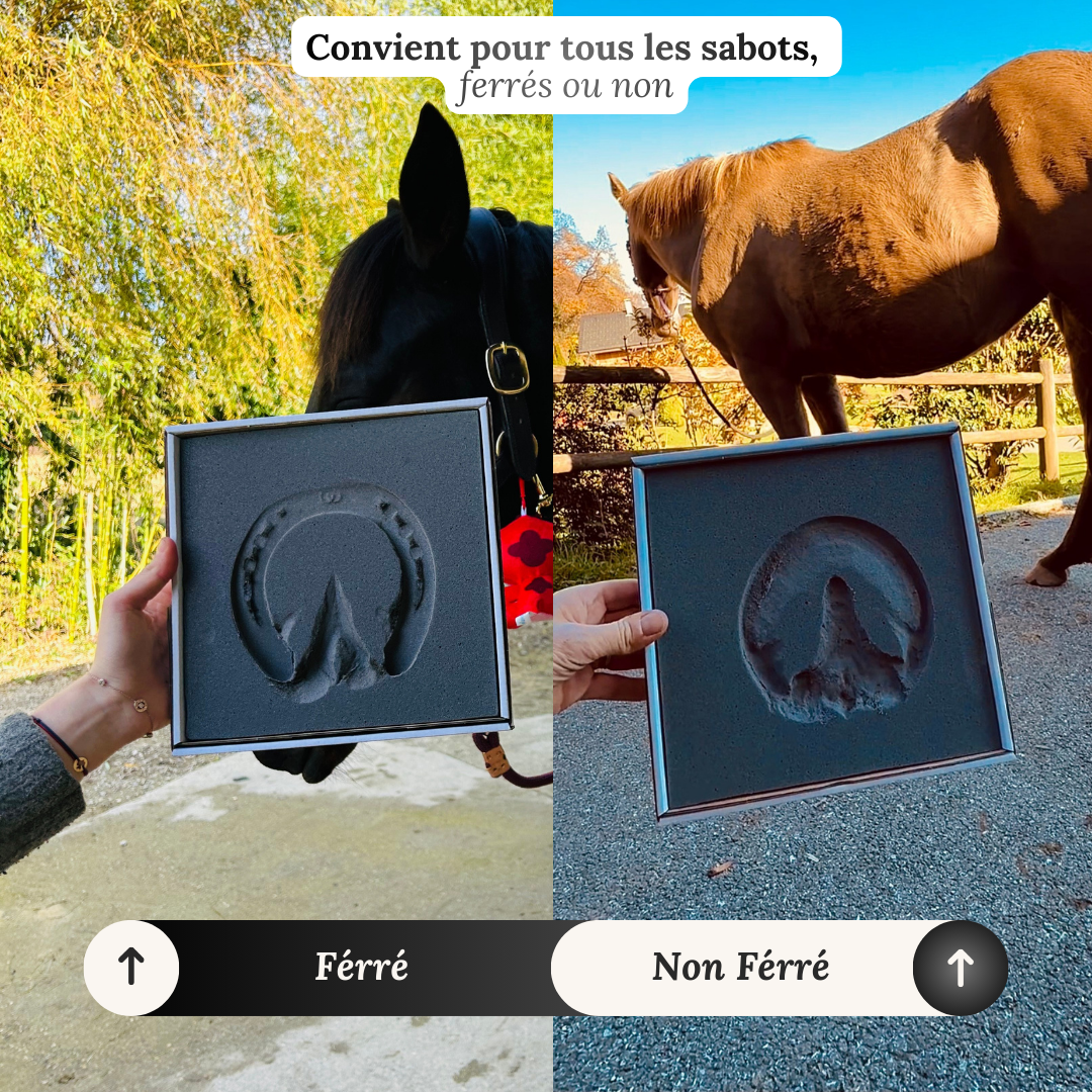 Le Kit d'empreinte pour Sabot