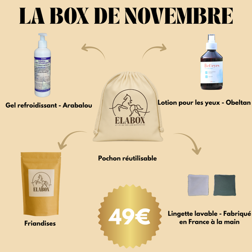 Box de Novembre ❄️ (toujours disponible)
