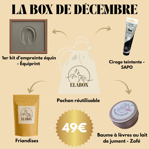Box de Noël 🎄 (toujours disponible)