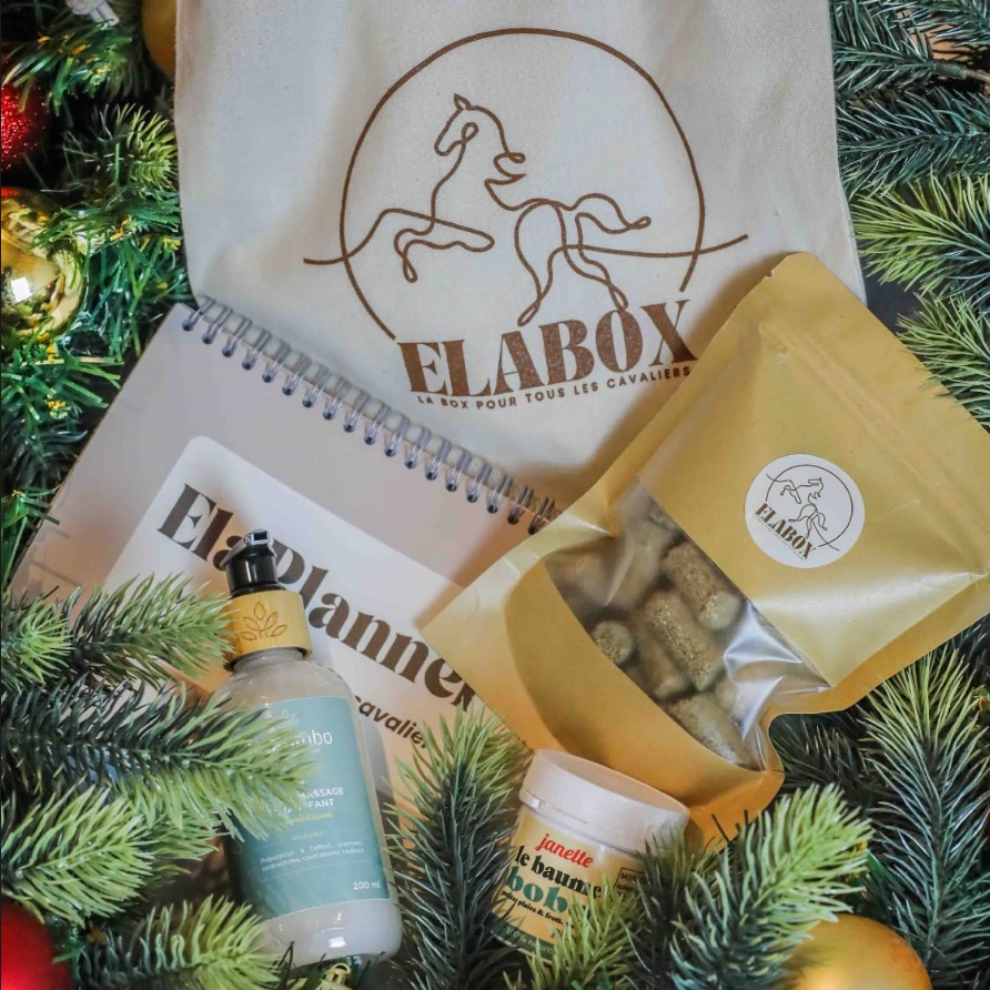 ELABOX DÉCOUVERTE 💡