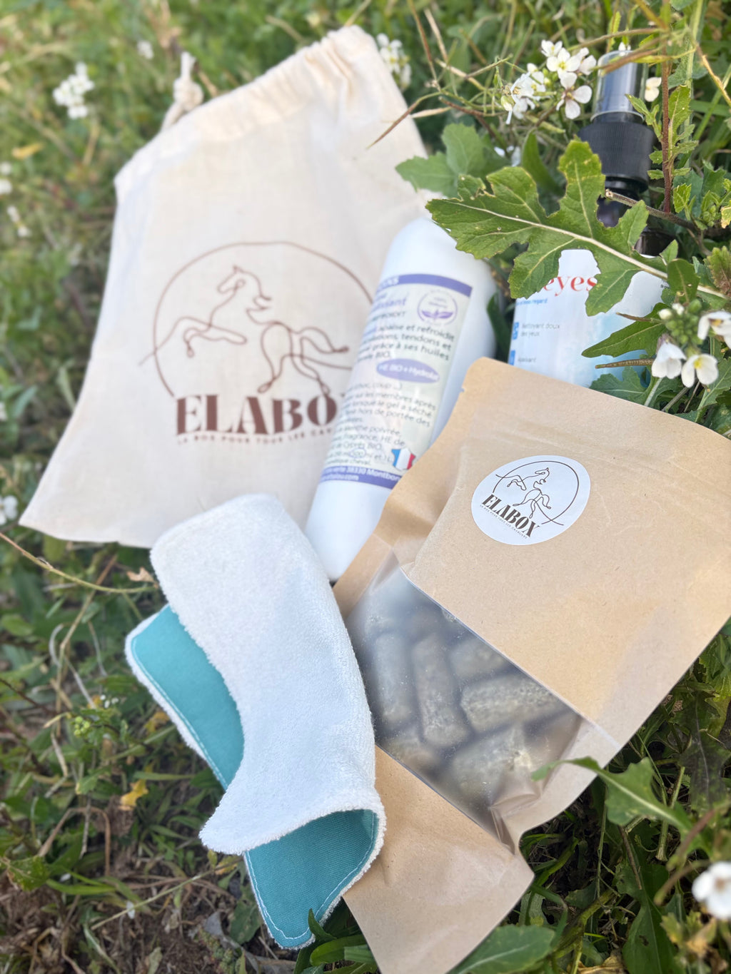 ELABOX DÉCOUVERTE 💡