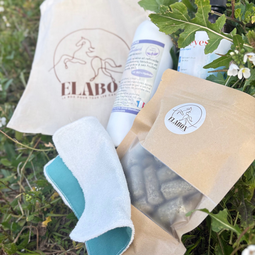 Box de Novembre ❄️ (toujours disponible)