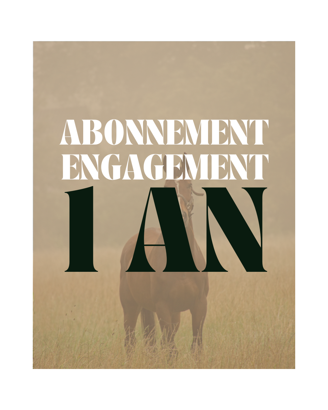 ELABOX abonnement 1 an (idéal pour offrir)
